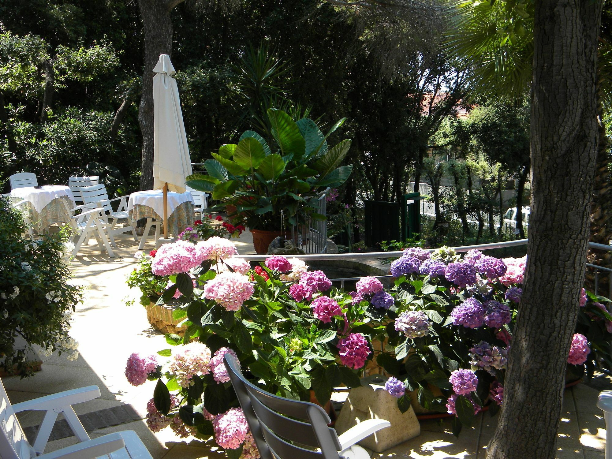 Hotel La Rosa Del Tirreno Livorno Exterior photo